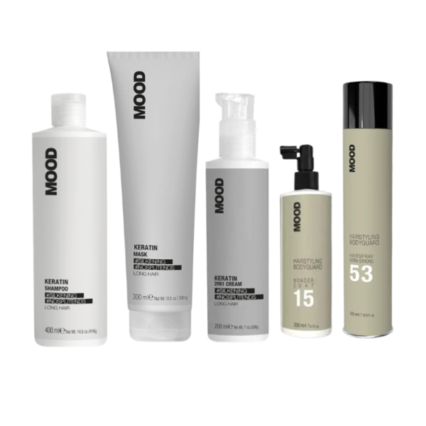 Pachet Reparare & Styling Complet
